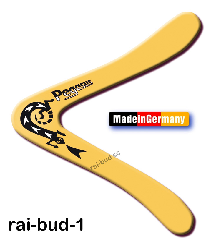 boomerang, latawiec